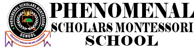 Phenomenal Scholars Montessori School